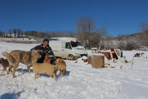 İstanbul'daki dairesini satıp dağ başına yerleşti parayı hayvanlara yediriyor - Resim: 1