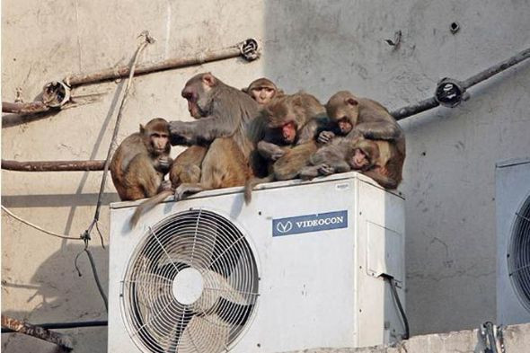 İnternetin baktıran fotoğrafları! - Resim: 3