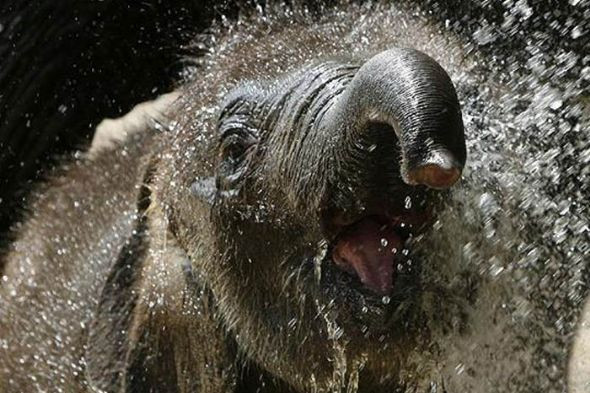 İnternetin baktıran fotoğrafları! - Resim: 4