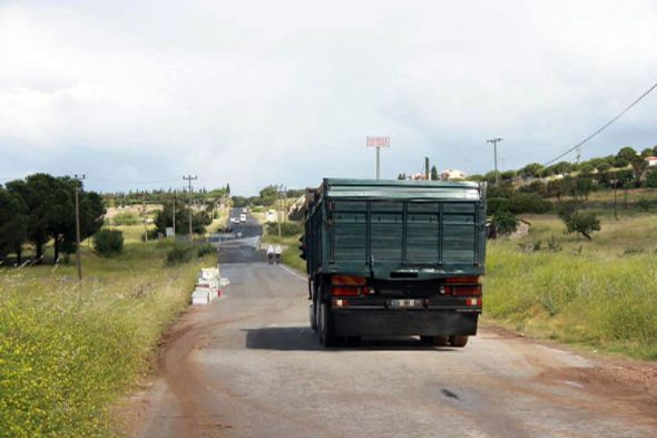 Arılar karayoluna saçıldı  - Resim: 4