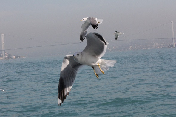 10 TL'niz varsa evde oturmayın... - Resim: 3