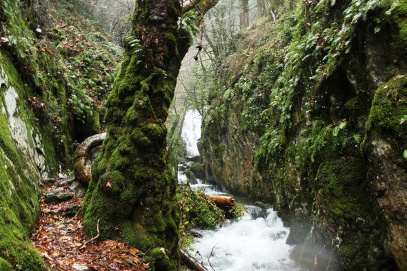 Dört mevsim bir arada yaşanıyor - Resim: 1