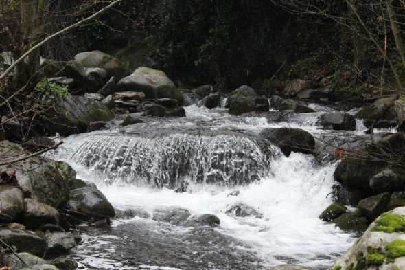 Dört mevsim bir arada yaşanıyor - Resim: 3