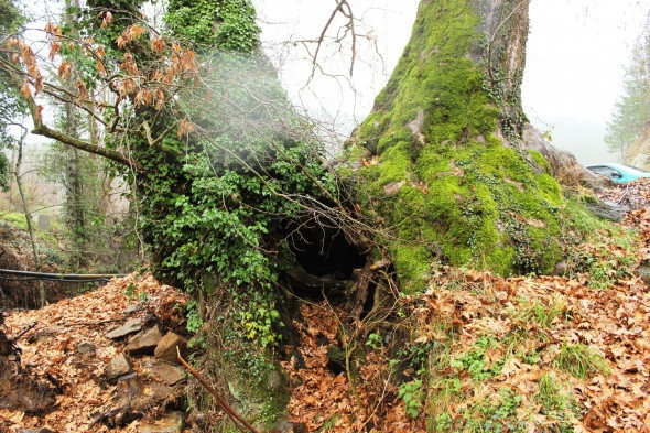 Dört mevsim bir arada yaşanıyor - Resim: 4