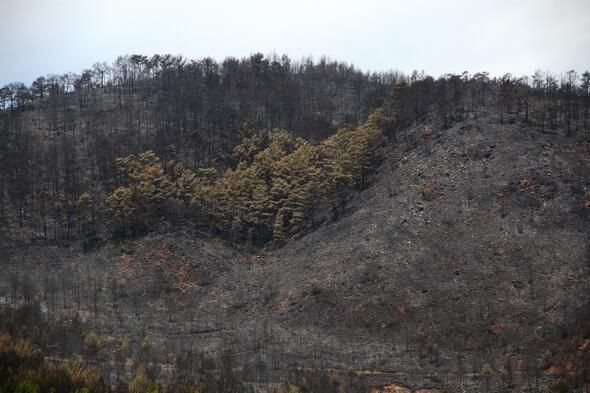 Muğla'nın Dalaman ilçesinde çıkan orman yangını söndürüldü - Resim: 2