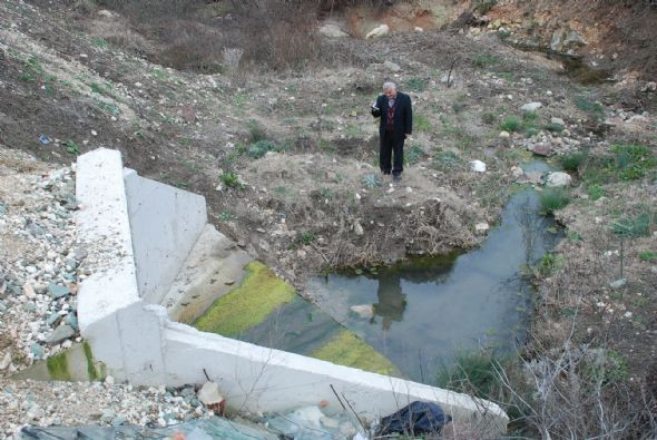 Üniversiteli Sema cinayetinde şok gelişme! - Resim: 4