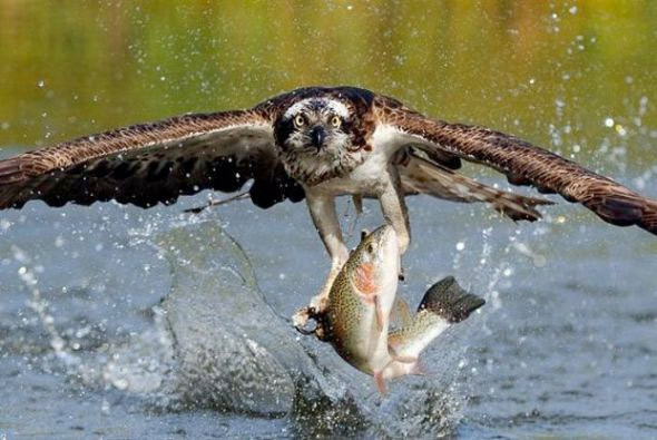 İnsan ruhunu okşayan doğal güzellikler! - Resim: 2