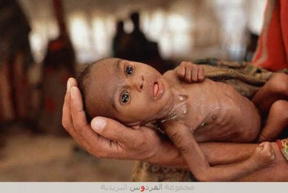 İnternetin baktıran fotoğrafları! - Resim: 2