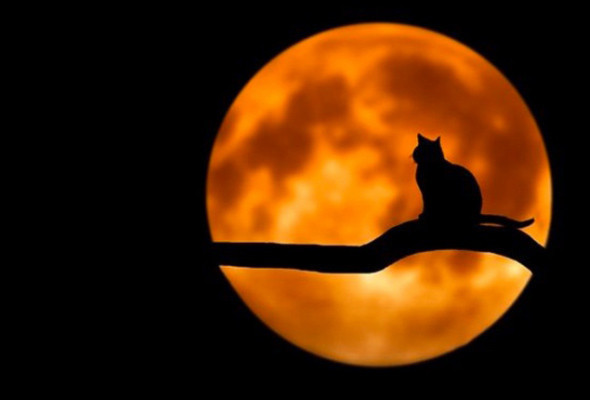 Ay en koyu kırmızıya bürünecek kanlı ay tutulmasına az kaldı - Resim: 3