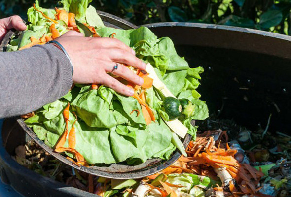 Vatandaş geçen yıl altına yöneldi ancak haftada 2 ekmek çöpe attık - Resim: 1