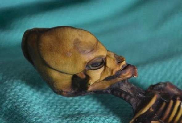 Uzaylılarla kim görüşecek? Hangi dilde konuşulacak? - Resim: 3