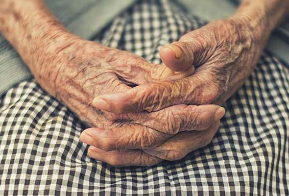 Japonların en büyük korkusu ne savaş ne de hastalık işte en büyük kokuları - Resim: 2