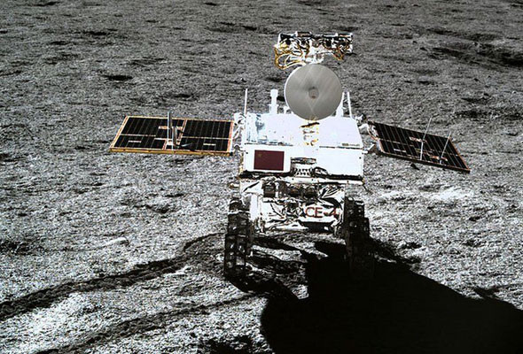 Ay'da ekilen tohumlar filizlendi Ay astronotların tarlası olacak - Resim: 4