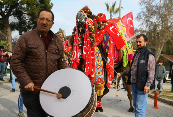 İzmir'de Miss deve seçildi kazanan Baybars oldu - Resim: 1