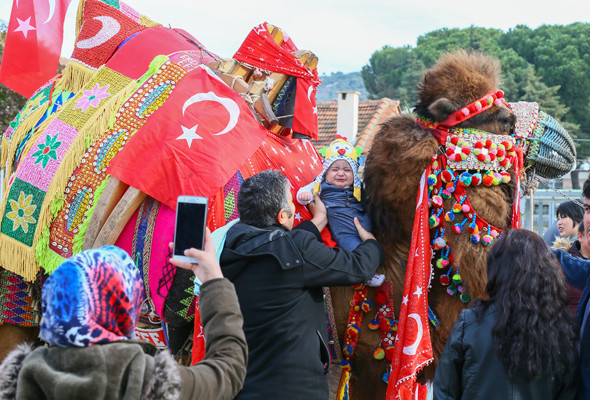 İzmir'de Miss deve seçildi kazanan Baybars oldu - Resim: 4