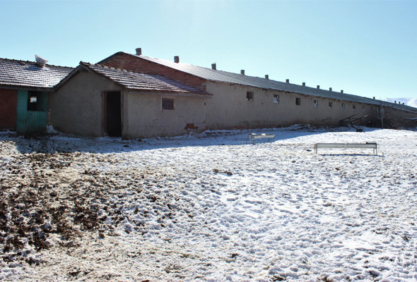 Tosuncuk gitti eseri kaldı Eskişehir’de tosuncuk vakası - Resim: 3