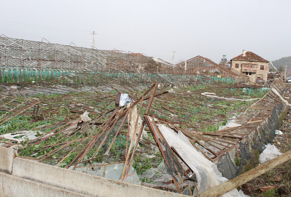 Pazarı zam vurdu fiyatlar 3 kat arttı oda başkanları başka esnaf başka konuştu - Resim: 3