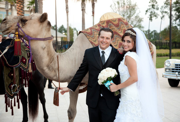 Mısır'da evlilik krizi 'Bırak evde kaldın kampanyası' kızların cevabı gecikmedi - Resim: 4
