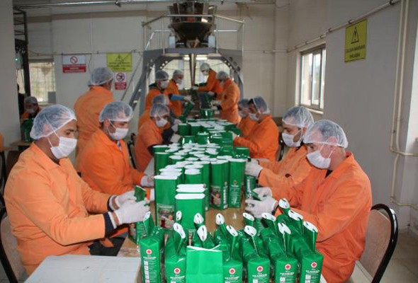 Bu da mahkumların çayı ‘Sayılı gün’ önce onlar tadıyor sonra satılıyor - Resim: 1