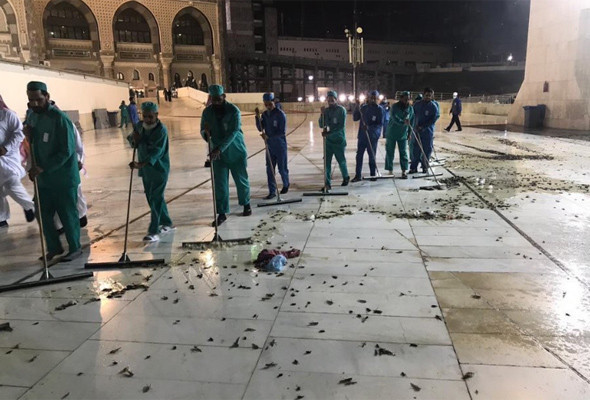 Mekke’de şok eden görüntü Mescid-i Haram'ı çekirge ve böcekler bastı - Resim: 1