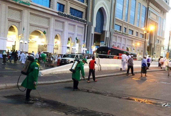 Mekke’de şok eden görüntü Mescid-i Haram'ı çekirge ve böcekler bastı - Resim: 2