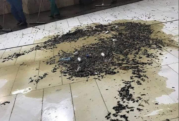 Mekke’de şok eden görüntü Mescid-i Haram'ı çekirge ve böcekler bastı - Resim: 3