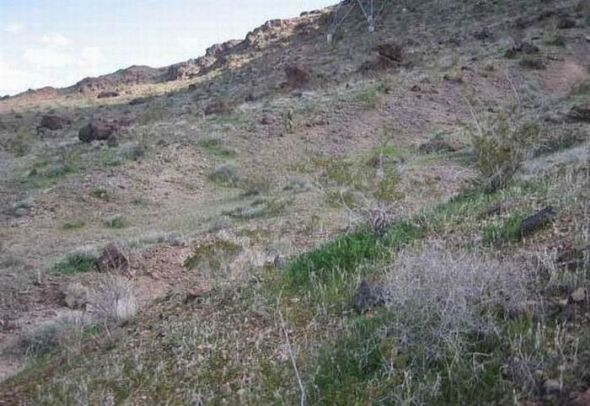 Fotoğraflardaki sırlar - Resim: 2