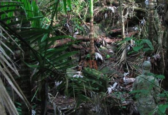 Fotoğraflardaki sırlar - Resim: 3