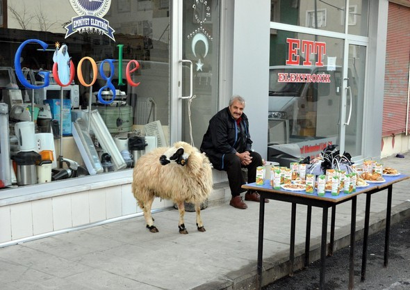 Koçuyla boynu bükük öylece bekledi... - Resim: 1