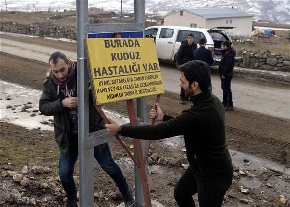 Aç kalınca kedilerle boğuştu ilçe karantinaya alındı - Resim: 2