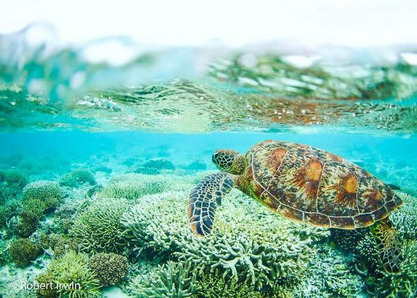 Henüz 13 yaşında ama kimse onun bu fotoğrafları çektiğine inanmıyor - Resim: 3