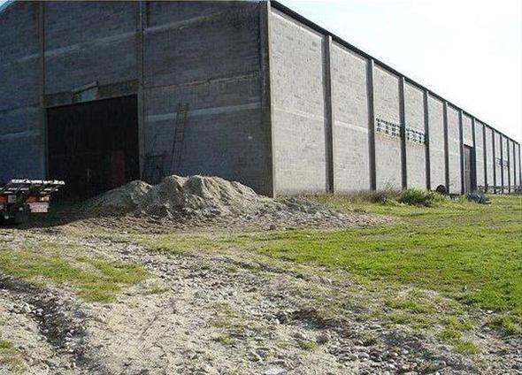 Satın aldığı ahırın içinden çıkanlar şoke etti! - Resim: 1