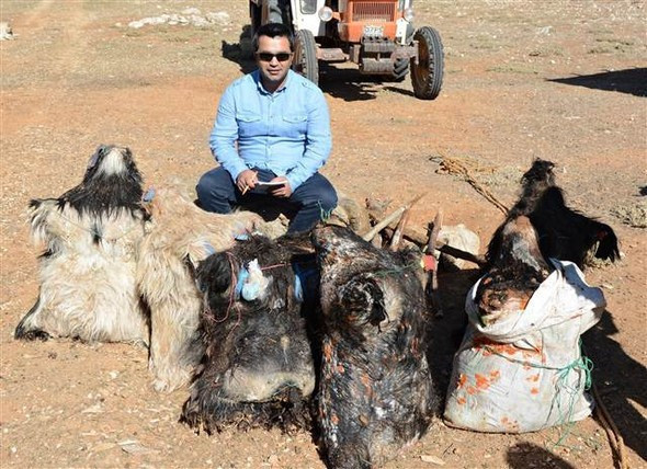 Bu peynir 2 ay bekletiyor 1 kilosu yok artık dedirtiyor! - Resim: 3