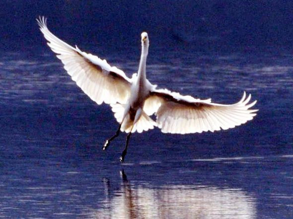 Hayran bırakan manzaralar - Resim: 3