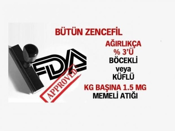 Bakın bir paket çikolatada ne kadar böcek varmış! İğrenç gerçekler - Resim: 3