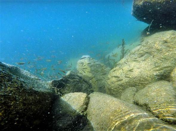 Yılın ilk yarısı buzla kaplı Balık Gölü'ne bir de bu mevsimde bakın - Resim: 4