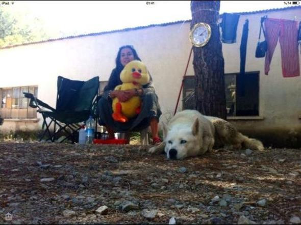 İyi bir eğitim aldı servet kazandı ama o hayalinin peşinden koştu - Resim: 2