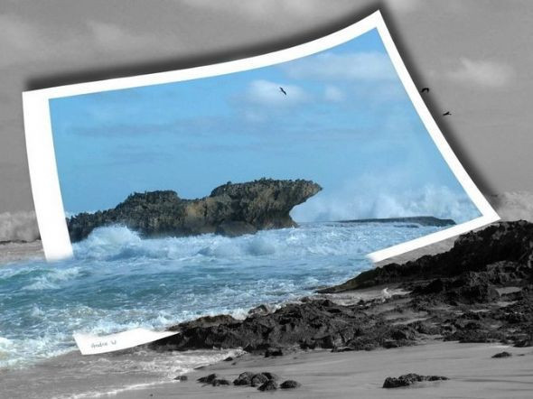 Bunlara bakmak yürek ister! - Resim: 2