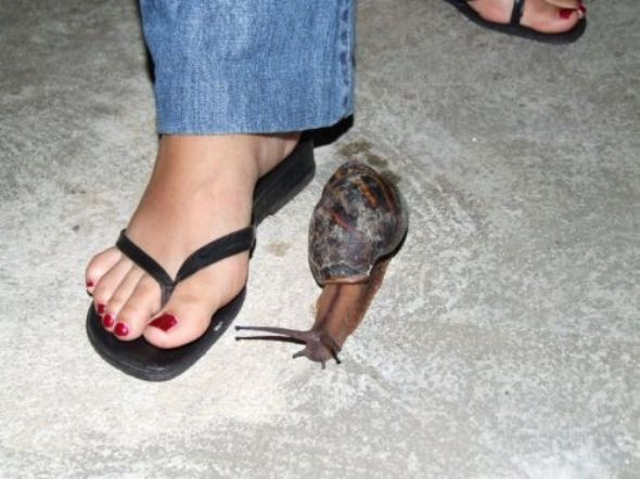 Günün en anlamsız fotoğrafları! - Resim: 4