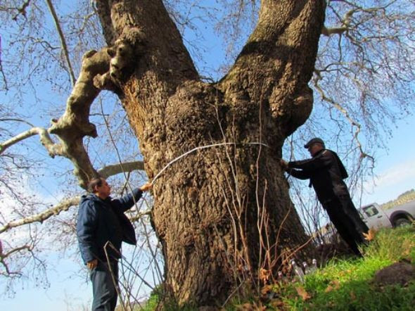 Doğa hazineleri - Resim: 2