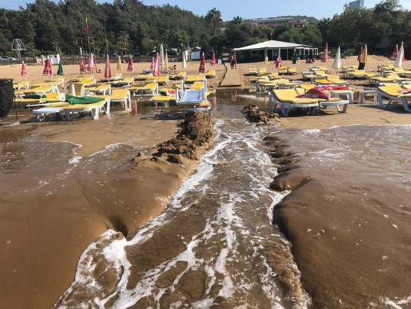 Sabah saatlerinde plaja geldi gözlerine inanamadı - Resim: 2