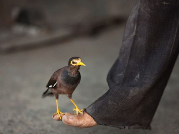 Geçen hafta en çok bunları tıkladık - Resim: 4
