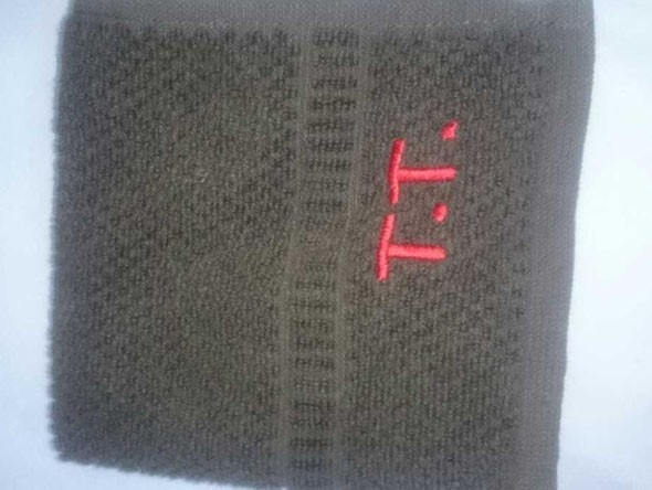 Tarkan'ın terli havlusunu kapıp öyle bir şey yaptı ki... - Resim: 3