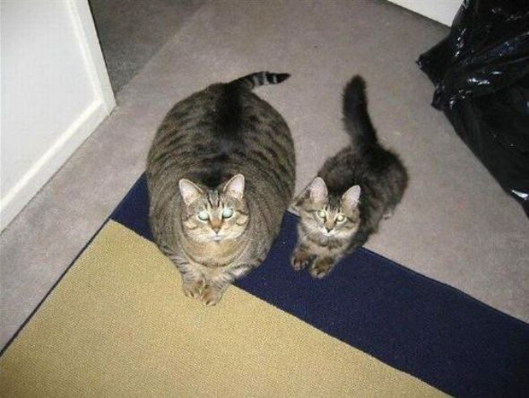 Günün en tıklanan ve gülünen kareleri - Resim: 3