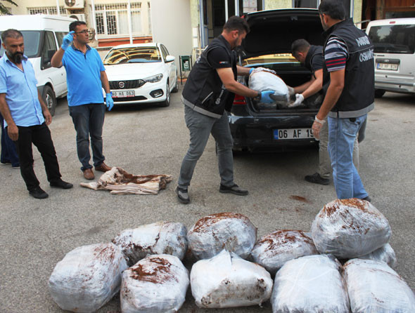 Böylesi şeytanın bile aklına gelmez - Resim: 2