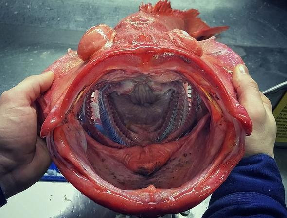 'Onunda bir güzelliği var' dedi ama görenler hayret etti! - Resim: 1