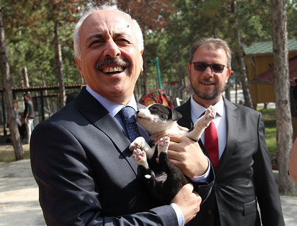 Belediye Başkanı makam aracını yaralı köpeğe tahsis etti! - Resim: 4