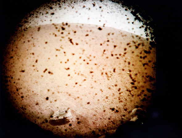 Mars kaşifi InSight bir fotoğraf yolladı NASA çalışanları çılgına döndü  - Resim: 3