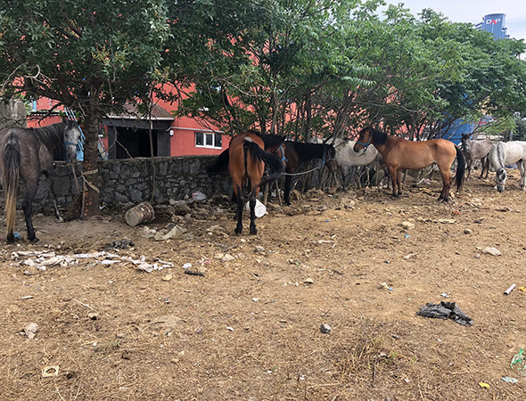 ‘Zabıta kovalıyor, polis kovalıyor ne yapacağımızı şaşırdık!’ - Resim: 2