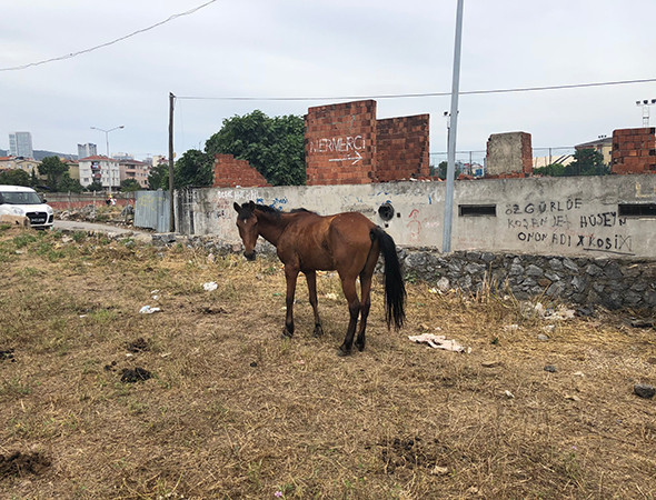 ‘Zabıta kovalıyor, polis kovalıyor ne yapacağımızı şaşırdık!’ - Resim: 3